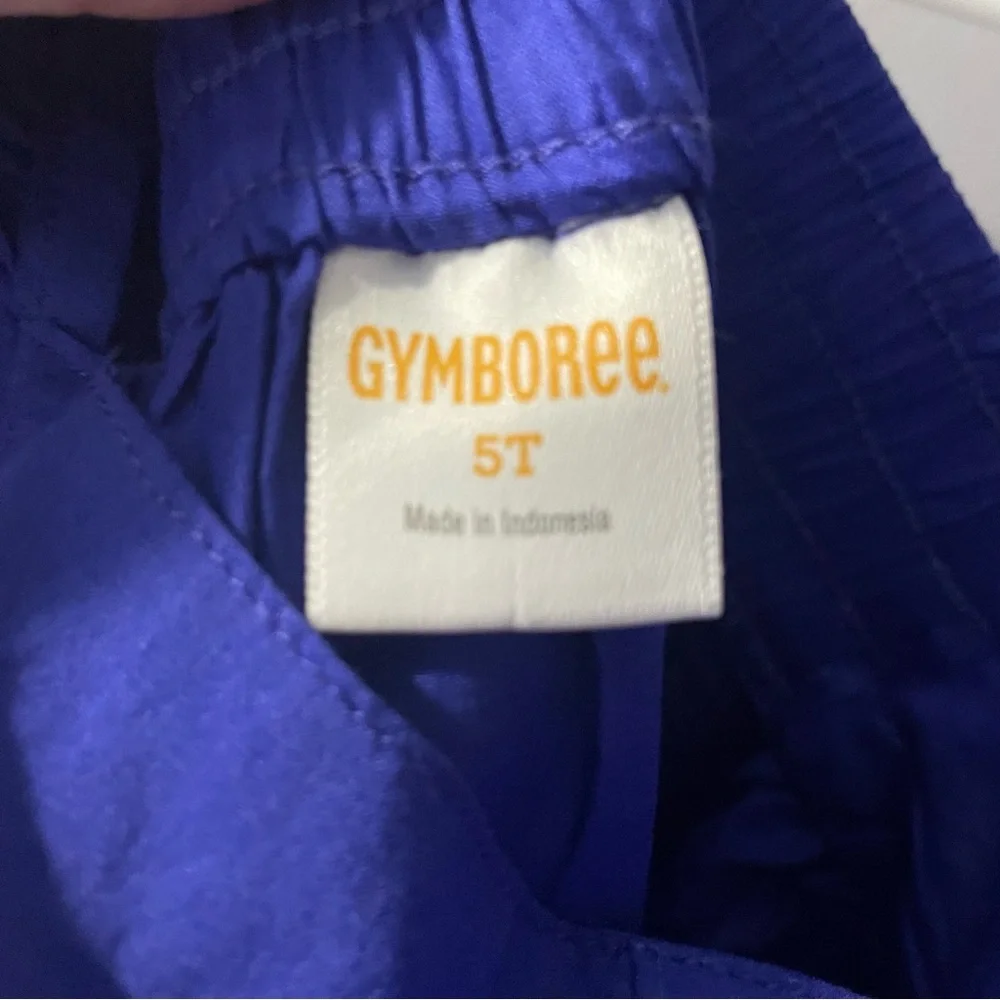 Gymboree Purple Dress with Rainbow and Sun Design